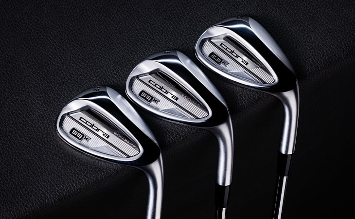 Snakebite X Wedge